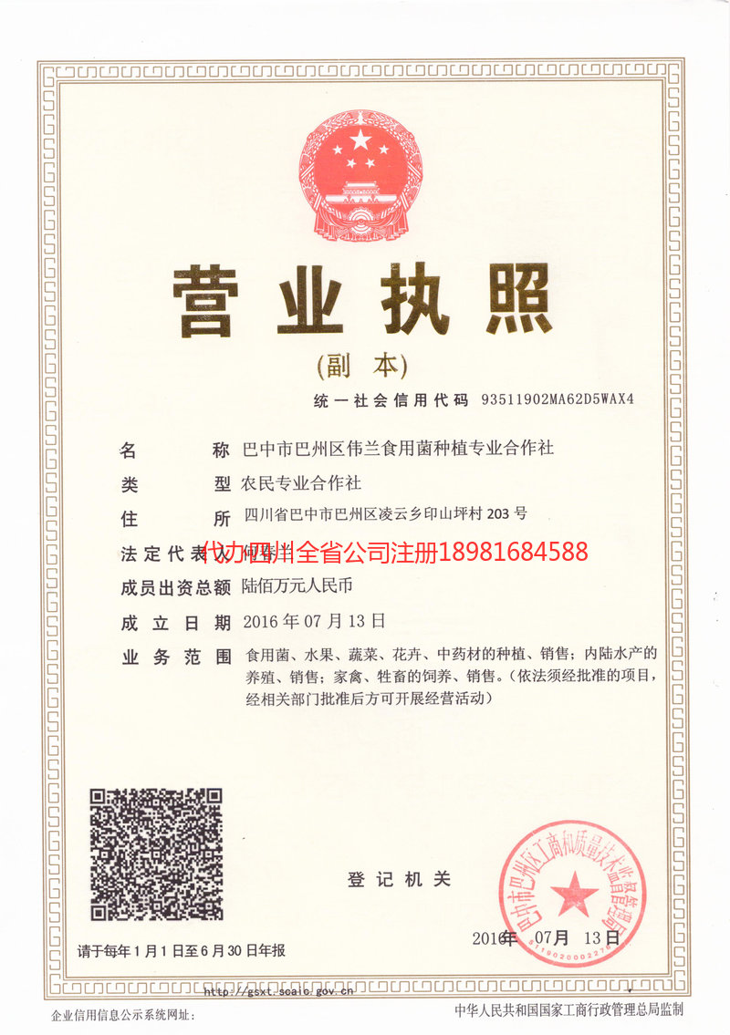 衡水衡水伟兰食用菌种植专业合作社